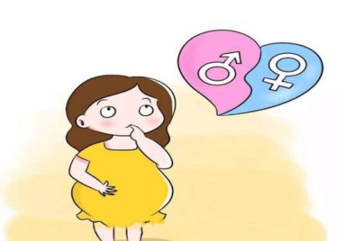 懷孕6個月的孕肚變化，這些事項孕媽媽要知道