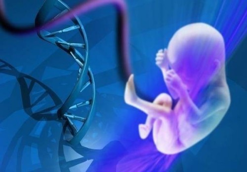 堵奶去醫(yī)院效果好還是找專業(yè)的催乳師好？盲目堵奶對身體并不好