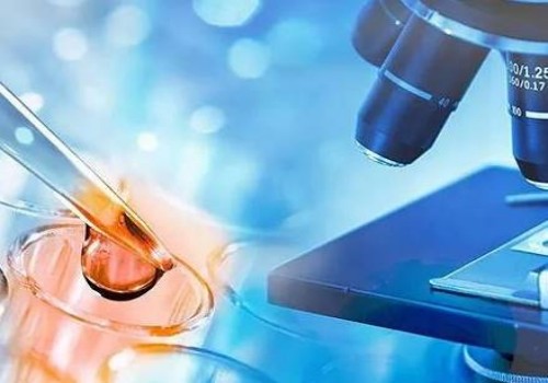 子宮腺肌癥做試管嬰兒成功率有多少,腺肌癥試管成功的概率大嗎