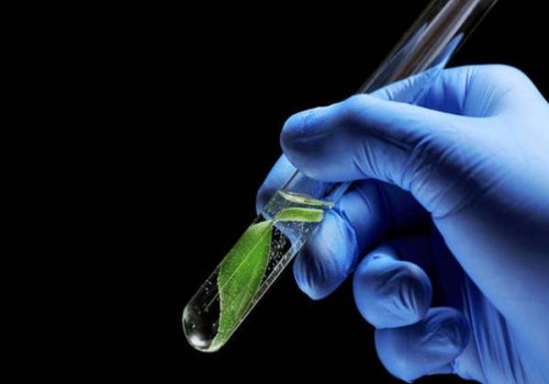 試管嬰兒完成后，準(zhǔn)媽媽該怎么吃？