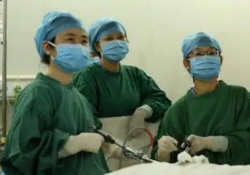 寧波三代試管助孕：孕囊大小與胎芽大小究竟有沒(méi)有關(guān)系？這份孕周對(duì)照表告訴你答案