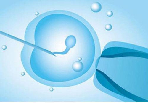 子宮前壁女兒后壁兒子沒(méi)有科學(xué)依據(jù)！胎兒性別與懷孕位置沒(méi)有關(guān)系