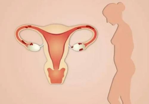 寧波供精試管：新生兒腸道發(fā)育不良危害大！家長要著重預(yù)防，否則易耽誤發(fā)育