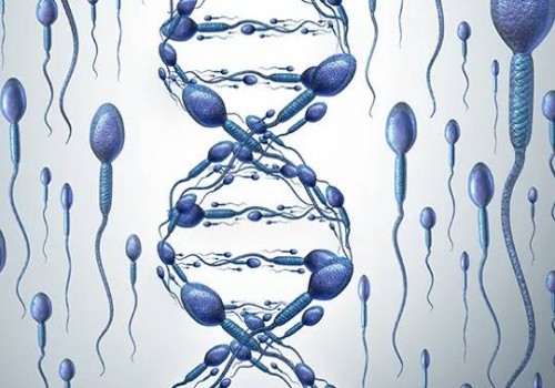 這四個原因就是不能自主排卵的元兇，內(nèi)分泌紊亂真得上點心