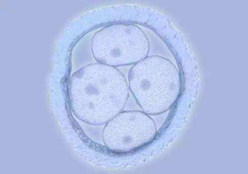 寧波正規(guī)助孕機(jī)構(gòu)：做完造影當(dāng)月可以懷孕嗎？了解造影后的備孕最佳時(shí)間