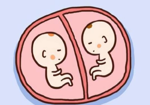 寧波試管嬰兒價(jià)格：最新三胎政策補(bǔ)助，減輕生娃負(fù)擔(dān)