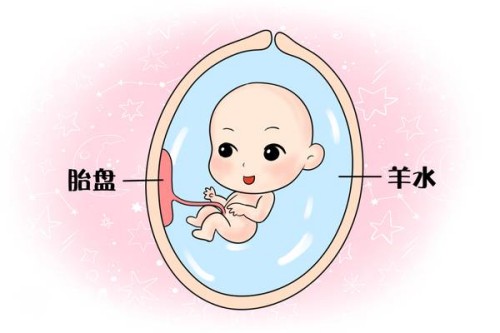 內(nèi)膜薄對女性的生育功能有影響，內(nèi)膜偏低可能會導(dǎo)致不孕