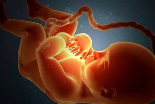 北京大學(xué)人民醫(yī)院供卵試管生男孩費(fèi)用明細(xì)，附供卵試管條件