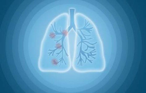 促排讓你避免出現(xiàn)空卵泡的妙招，日常吃什么很關(guān)鍵