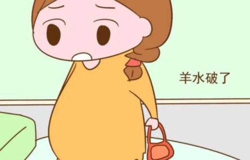 寧波供精試管：從內(nèi)褲的分泌物也能看出來懷的是男寶還是女寶？