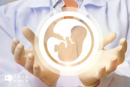 2023隨州中心醫(yī)院試管嬰兒全方位指南，附助孕成功率預(yù)估