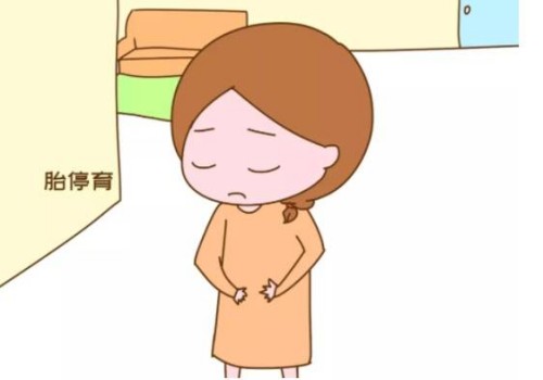 寧波供卵試管：高齡移植兩個(gè)成功率比一個(gè)高，還要考慮這些因素