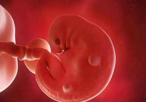 雌激素低對(duì)懷孕有什么影響,從這幾方面開始調(diào)理