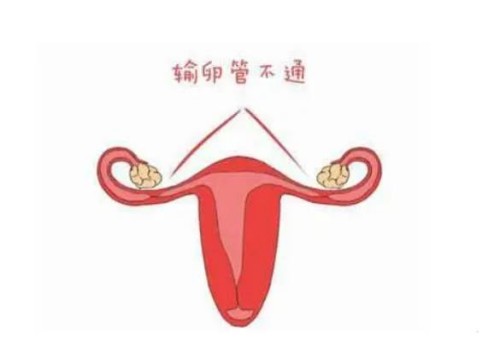 寧波助孕公司：備孕夫妻這樣做更容易懷孕，照這樣做讓你更快當爸媽