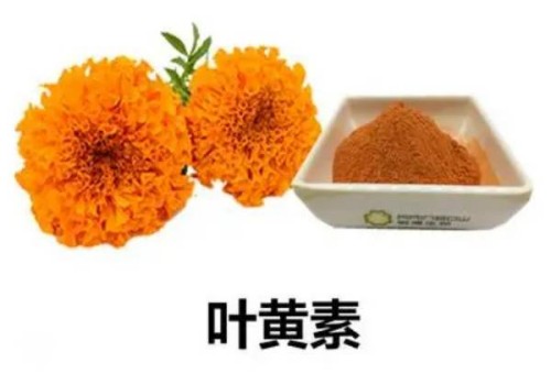 寧波試管嬰兒價格：懷孕期間服用中藥要小心，最好在醫(yī)生的指導(dǎo)下服用