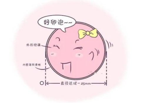 寧波試管助孕公司：2022試管嬰兒生二胎值得嗎，成功率高低還需根據(jù)身體說話