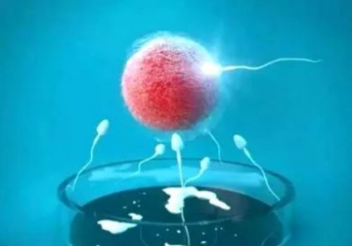 孕囊偏小吃紅薯真有效嗎，醫(yī)生：并無科學(xué)依據(jù)