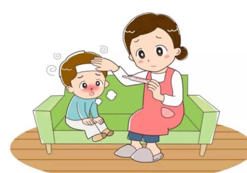 備孕期間卵泡發(fā)育不好，可以試試這幾類食物