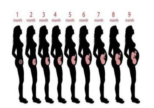 孕婦順產(chǎn)之前需要多少次的內(nèi)檢檢查？