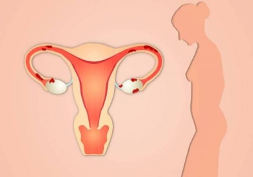 科學(xué)備孕生男生女的方法一覽，附備孕期間的注意事項(xiàng)_1