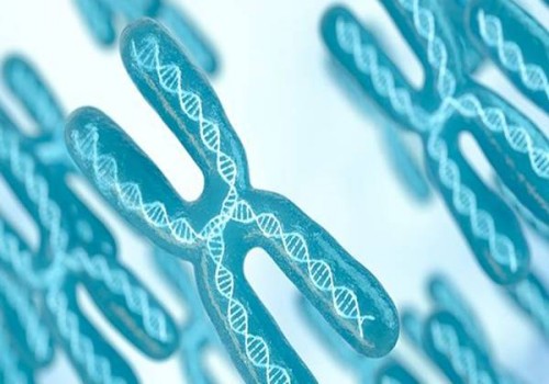 助力卵泡發(fā)育的食物清單，讓你的卵泡更好地發(fā)育。