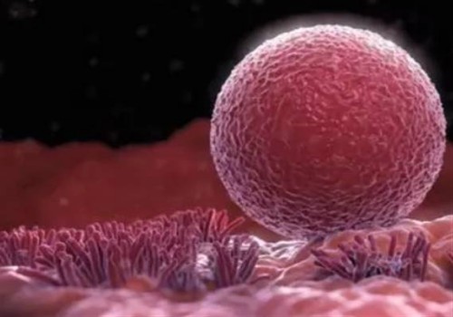 寧波助孕生子：盤(pán)點(diǎn)弱精癥的具體表現(xiàn)，附引發(fā)弱精癥的原因及治療措施