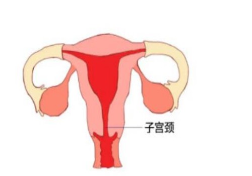 寧波助孕：順產(chǎn)和剖腹產(chǎn)優(yōu)缺點對比，給準媽媽帶來最全面介紹